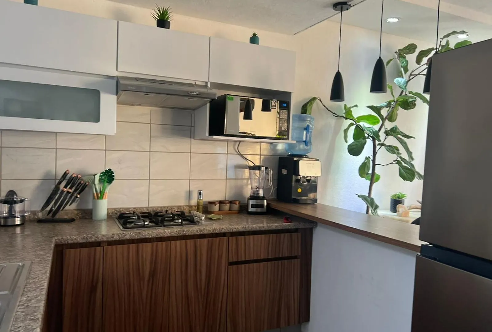 Casa Monstera Bahia Villa Naranjo