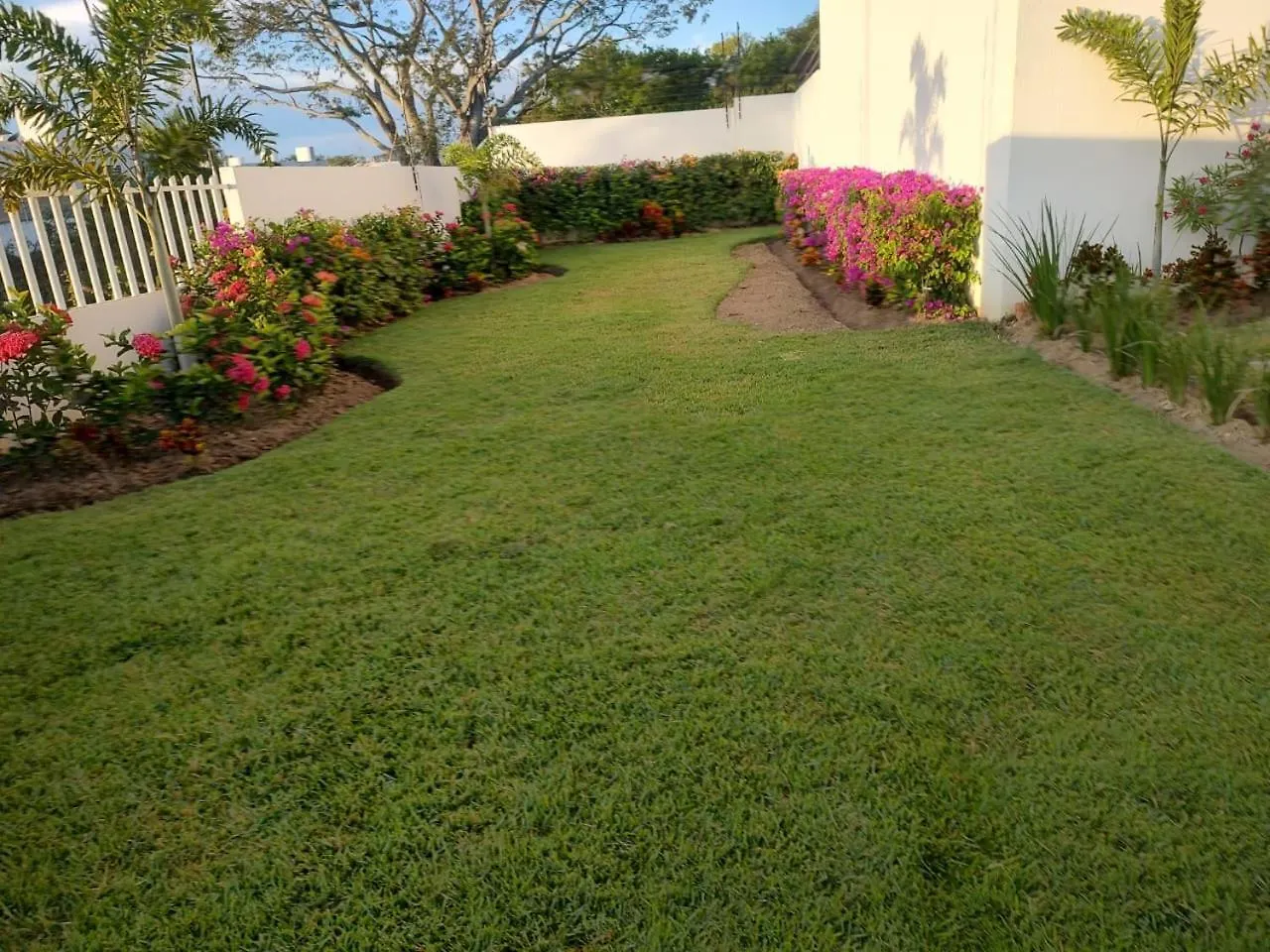 Casa Monstera Bahia Villa Naranjo Holiday home