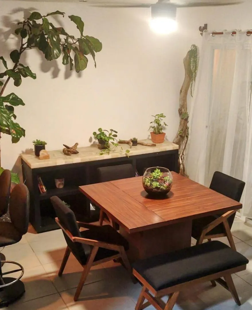 Casa Monstera Bahia Villa Naranjo Holiday home