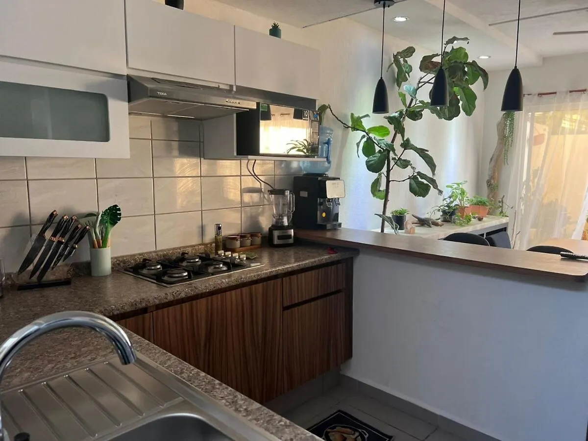 Casa Monstera Bahia Villa Naranjo